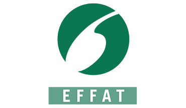 article-effat.png